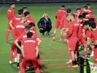 2025-2026 年仓储机器人供应商推荐：新能源锂电行业全流程无人化方案对比分析