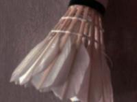 （主场）奥卡尔