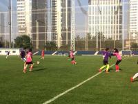 英联杯007：曼城VS纽卡斯尔联比分预测，曼城主场冲击冠军有望会师阿森纳